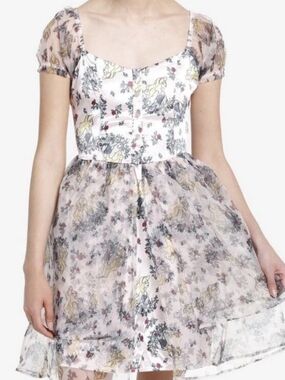 Disney Her Universe Pale Pink Floral Sleeping Beauty Dress, Womens Size XL